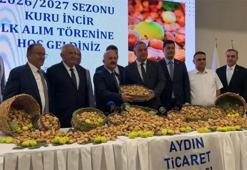 Aydın'da incir sezonu başladı: Yeni sezonun ilk kuru inciri 850 TL'den alıcı buldu!