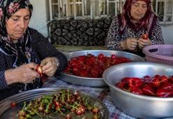 Şanlıurfa'da isot fiyatları: Evde yapmak daha ucuza mı geliyor?