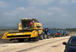 Osmaniye'de 6 farklı çeşit tarlada test edildi! Düziçi'nde yerli ve milli ayçiçeği hasadı başladı