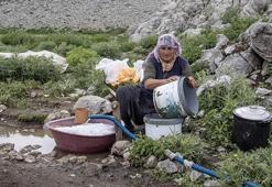Ayı ve kurt saldırılarına rağmen vazgeçmiyorlar! Tuncelili köylülerin 3 bin rakımdaki zorlu mesaisi