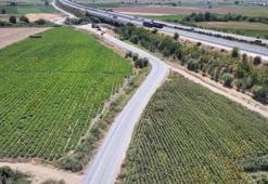 Manisa'da çiftçinin kabusu oldu! Artık sona eriyor