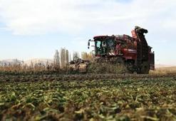 Çiftçinin beklediği rakam belli oldu: Şeker pancarında kritik açıklama bekleniyor