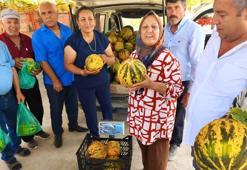 Tek damla su verilmeden yetişen tadıyla damak çatlatan kavunlar kapış kapış satılıyor