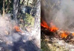 Keles'te facia vatandaşlar tarafından önlendi: O anlar kamerada