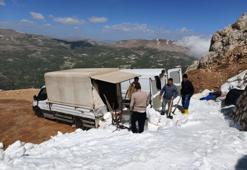 Pazarda bir tek o cesaret edip satıyor: Haftada 2 ton garanti satışı var, dağdan kesip getiriyor