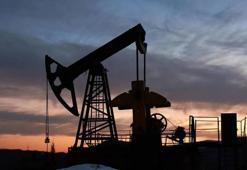 Petrol rezervi Şanlıurfa'da da aranıyor: Siverek'te 9 nokta belirlendi