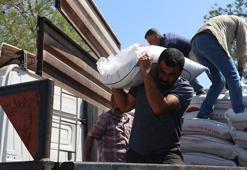 Şahinbey Belediyesi'nden çiftçilere dev gübre desteği: Yarı fiyatına 2 bin ton gübre dağıtıldı!