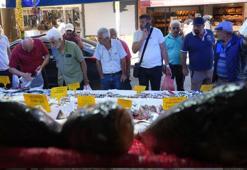 Karadeniz'de palamut patlaması! Tanesi ilk gün 150 TL'den satılıyordu 80 TL'ye düştü