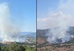 Bursa'da orman yangını!