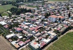 Hatay'da görenlerin eli yüzü yanıyor, hasattan vazgeçmiyorlar! Kilosu 300 TL'den kapışılıyor