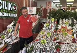 Karadeniz'de palamut patlaması! Fiyatlar dibi gördü
