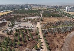 Diyarbakır Stadyumu'nun yanı başına yapılıyor: 330 bin metrekare inşa edilecek