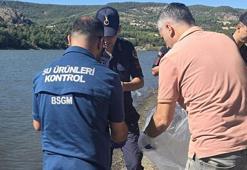 Çanakkale'de yüzlercesi öldü, inceleme başlatıldı