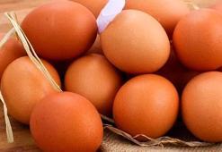 Salmonella salgınında vaka sayısı 318’e yükseldi