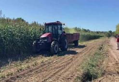 Az su istiyor diye 12 dönüme ekti: İlk yılında 10 ton verim aldı, şehirde ilk denemeyi yaptı