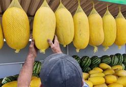 Sıfır sulama yapılıyor: Aroması susuzluğunda gizli! Bekledikçe güzelleşiyor, asıldıkça lezzetleniyor