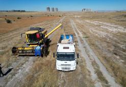 Kayseri'de akıllar tarlada kaldı: 2 bin 500 litre verimi keşfedince yüzlerce dekara ekti