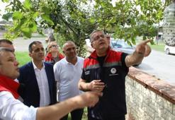 Samsun'u istila etti, köylüler çareyi 26 bin tane almakla buldu