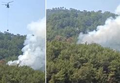 Adana'da orman yangını! Havadan ve karadan müdahale ediliyor