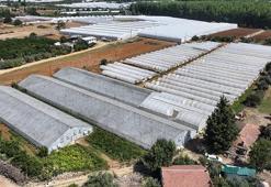 Antalya’da seralarda büyük dönüşüm başlıyor! 200 bin dekar alan 6 yılda yenilenecek