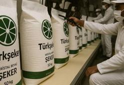 TÜRKŞEKER 182 İŞÇİ ALIMI BAŞLADI! İŞKUR başvuru ekranı, kadrolar ve başvuru şartları 2026