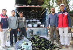 Siirt'te TAKE projesi meyvelerini veriyor: 71 üreticinin emek verdiği tarlalarda hasat sezonu başladı!