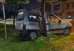 Hafif ticari araç refüjdeki ağaca çarptı 1’i çocuk 2 kişi yaralandı