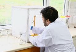 Fındığın baş düşmanına karşı yeni proje: En verimli yöntem laboratuvar ve bahçelerde aranıyor! 'Yumurta halinde mi yoksa ergin birey olarak mı daha etkili?'