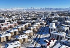 Bingöl'de üniversite ile Valilik jharekete geçti: 1200 önüm alan ekiliyor
