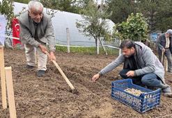 Türkiye’de bir ilk! Zonguldak’ta başladı: Kilosu altın değerinde, yeni gelir kapısı oldu
