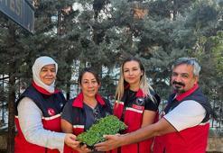 Burhaniye’de üreticiye dev destek: Yüzde 75 hibeyle üretim şahlanıyor!