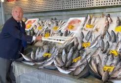 Balık tezgahlarında bereket! Hamsi 200, palamut 100 liradan başlıyor