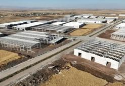 Doğu'nun en büyük yatırımı olacak: 200 bin kişiye iş kapısı geliyor