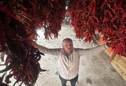 Yılda 2 kez toplanıyor, kilosu 3 bin TL'den kapışılıyor! Edirne'de üreticiler bebeğe bakar gibi yetiştiriyor