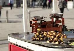 Kestanenin kilosu kaç lira? Doğal şifa deposu tezgaha indi, vücutta mucize yaratıyor! Tam bir B1 ve B2 vitamini deposu