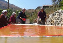 Erzincan Kemaliye'de geleneksel dut hasadı sürüyor: Yöre kadınları imece usulüyle pestil ve pekmez üretimi yapıyor!