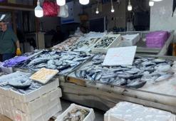 Sinop'ta balıkçılar ‘kestane karası’nı beklemeden tuzluyor
