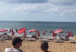 Antalya'da sabah saatinde turistin dikkatini çekti: İncekum açıklarında görüldü