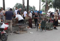Adanalıların pahalı hobisi! Sadece onları izlemek için 20 bin lira veren var