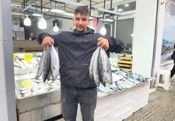 Balık tezgahları en ucuz günlerini yaşıyor! Fiyatı 50 liraya kadar geriledi