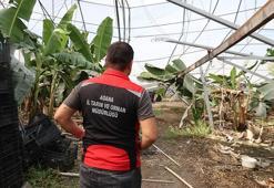 Adana’da süper hücre dehşeti: Her şey 15 dakikada oldu, en az 50 milyon zarar!