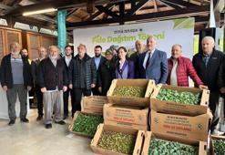 Beykoz'da topraklar boş kalmıyor: 625 bin kışlık sebze fidesi üreticilerle buluştu!