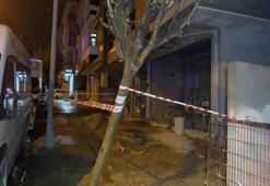 Küçükçekmece'de elektrik paniği: Köpeği öldü kendisi yaralandı