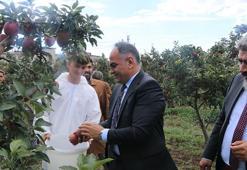 Çankırı'da okul bahçesinde liseliler yetiştirdi! 272 ağaçtan tam 7 ton ürün bekleniyor