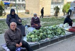 Adı Alucra kelemi, lezzeti diğerlerinden farklı! Meşhur lahananın hasadı başladı