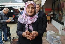 Böylesi Sinop’ta yetişiyor, Türkiye’nin dört bir yanından sipariş yağıyor: Kilosu 800 TL’ye kadar çıktı