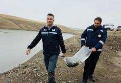 Van resmen para basıyor: Yıllık 25 milyon dolarlık kazanç!