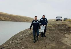 Van'da 37 tane var! 25 milyon dolar kazanç sağlandı