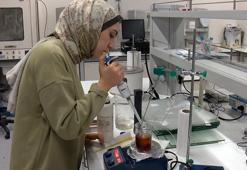 Hayvan yemi diye atıyordu, içinden servet çıktı: Yüzde 80 protein saklıymış