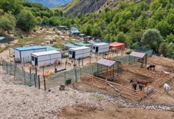 ki TIR dolusu at terk edilmişti! 5 yıl sonra ortaya çıkan manzara